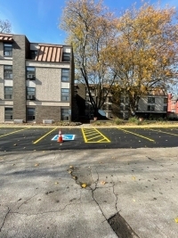 Apartments and trees by the new parking lot.